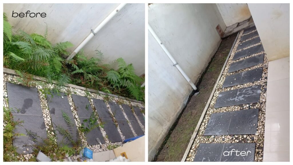 cleaning taman